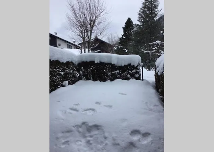 Au Calme Avec Jardin Et Vue Mont-blanc Appartement Chamonix