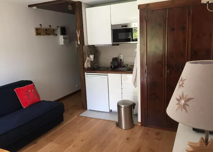 Au Calme Avec Jardin Et Vue Mont-blanc Apartment *